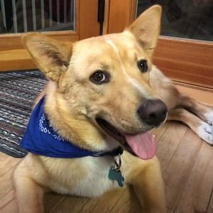 Meet your Posher, Ju